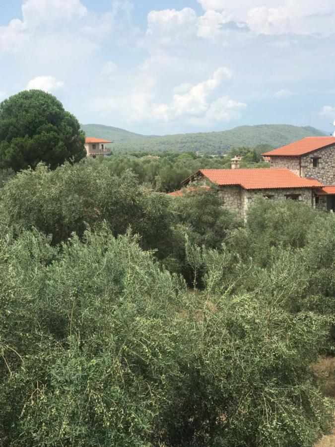 Olivegrove House Appartement Vourvourou Buitenkant foto