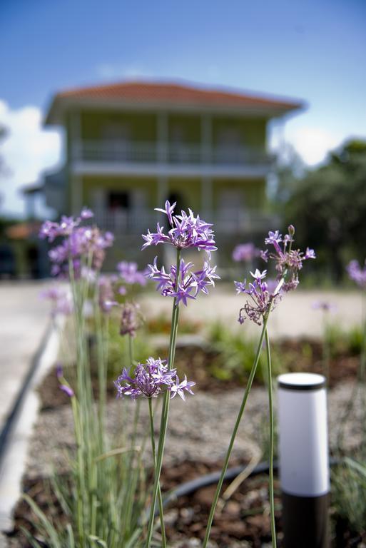 Olivegrove House Appartement Vourvourou Buitenkant foto