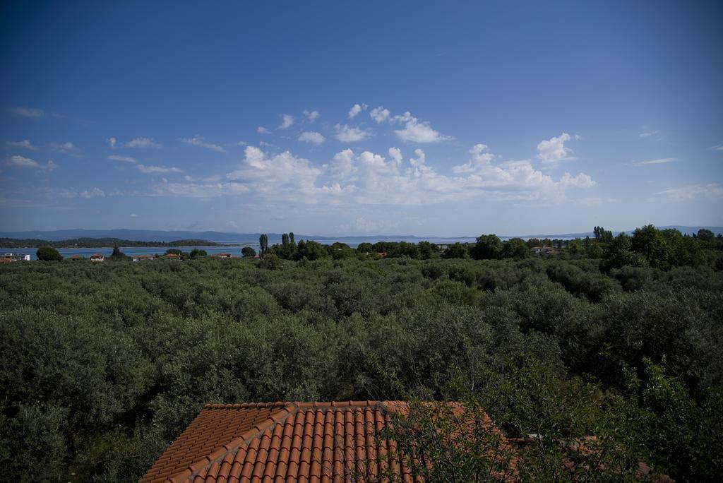 Olivegrove House Appartement Vourvourou Buitenkant foto